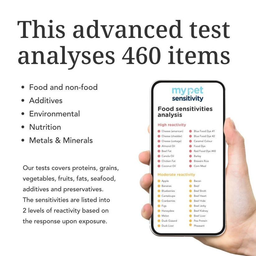Advanced Pet Sensitivity Test 460 Food Ingredients Tested My Pet Sensitivity USA