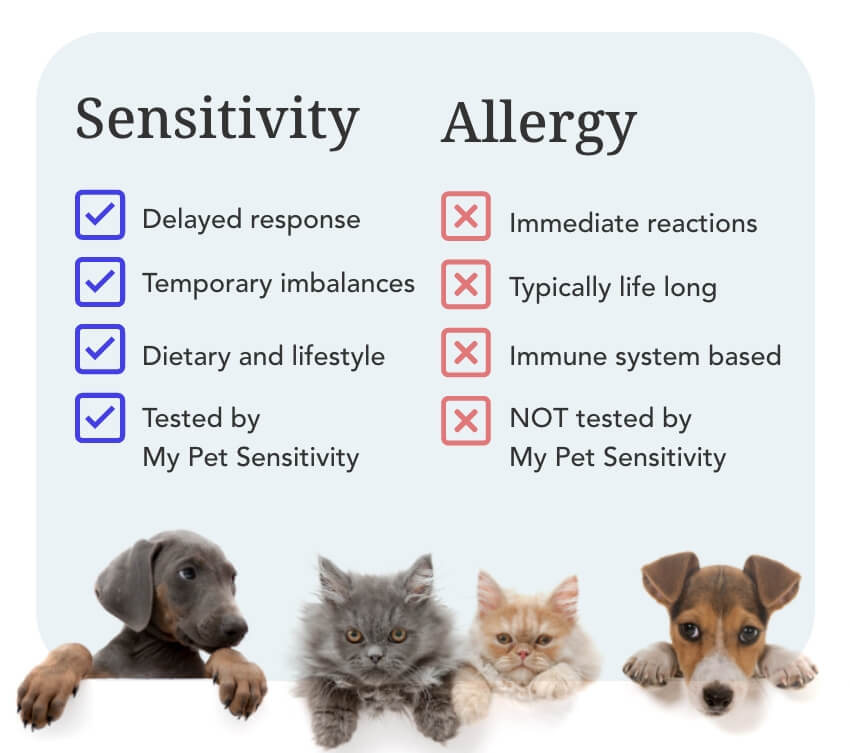 Sensitivity or Allergy My Pet Sensitivity USA